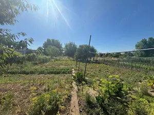 Sancraiu de Mures - Vanzare casa 3 camere - Str. Delureni - imagine 11