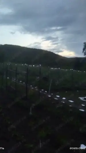 Vînd teren intravilan Dealul Viilor Ineu , rindul 2  , 2852 mp. , 10  Euro mp tel 074948061