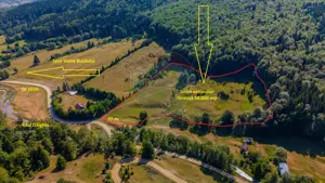 Teren 20000 mp, sat Dalghiu, com Vama Buzaului