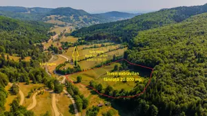 Teren 20000 mp, sat Dalghiu, com Vama Buzaului - imagine 3