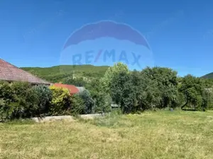 Teren 3,154mp Barsana / Intrarea principala - imagine 6