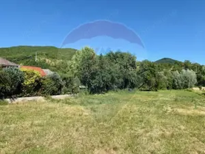 Teren 3,154mp Barsana / Intrarea principala - imagine 3