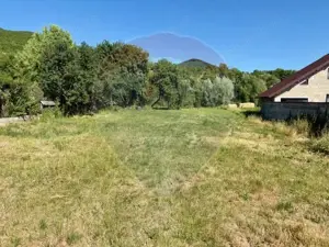 Teren 3,154mp Barsana / Intrarea principala - imagine 7