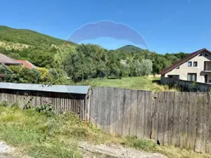 Teren 3,154mp Barsana / Intrarea principala - imagine 2