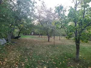 Casa de vanzare com Berceni Ilfov