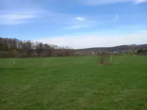 Vand teren Dragomirna 3000 mp langa padure