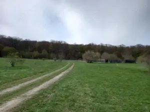 Vand teren Dragomirna 3000 mp langa padure - imagine 2