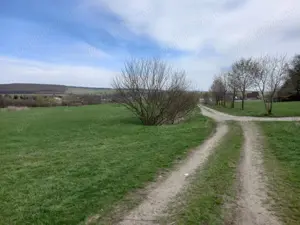 Vand teren Dragomirna 3000 mp langa padure - imagine 3