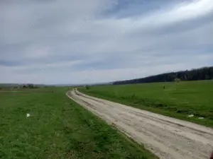 Vand teren Dragomirna 1900 mp Huc