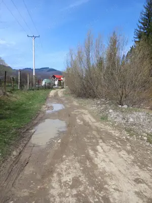 Vand teren Humor - Voronet 22.250 mp - imagine 3 Vand teren Humor - Voronet 22.250 mp - imagine 3