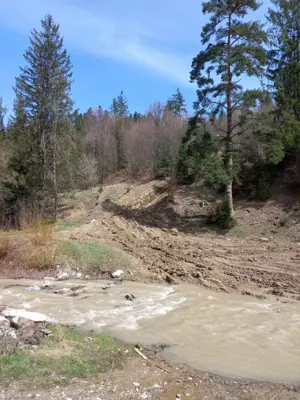 Vand teren Humor - Voronet 22.250 mp - imagine 4 Vand teren Humor - Voronet 22.250 mp - imagine 4