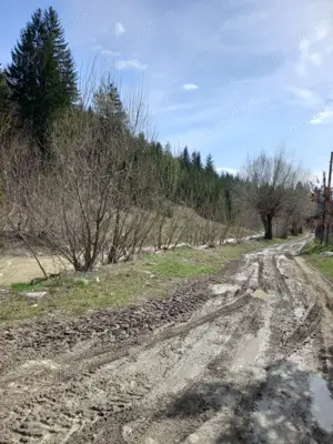 Vand teren Humor - Voronet 22.250 mp - imagine 8 Vand teren Humor - Voronet 22.250 mp - imagine 8