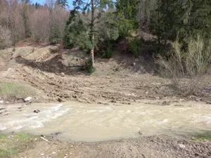 Vand teren Humor - Voronet 22.250 mp - imagine 10 Vand teren Humor - Voronet 22.250 mp - imagine 10