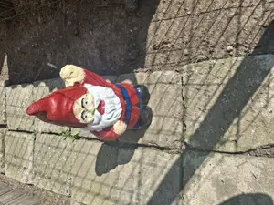 Pitici de gradina - imagine 4