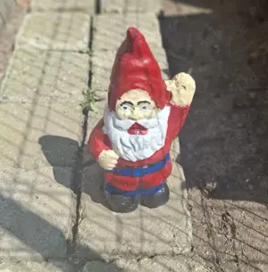 Pitici de gradina - imagine 3