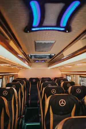 Angajam sofer categ D, cu domiciliu in Zlatna