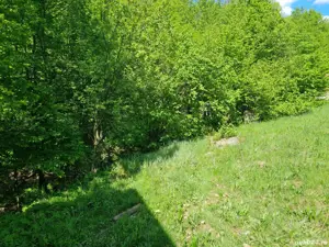 Inchiriez cabană  - imagine 3