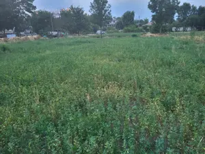 Loc de casă de vânzare  - imagine 3