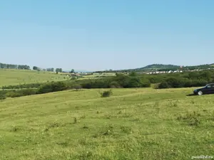 Teren extravilan dealul daii - imagine 4