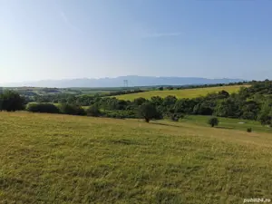 Teren extravilan dealul daii - imagine 2