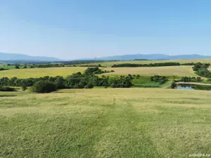 Teren extravilan dealul daii - imagine 3