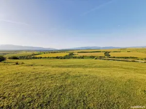 Teren extravilan dealul daii - imagine 5