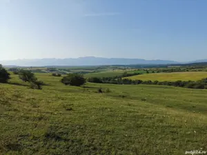 Teren extravilan dealul daii - imagine 7