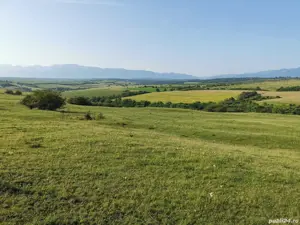 Teren extravilan dealul daii - imagine 8