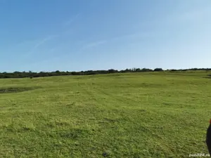 Teren extravilan dealul daii - imagine 9