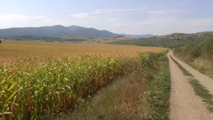 Teren Intravilan, Ighiu, Alba-Iulia - imagine 2