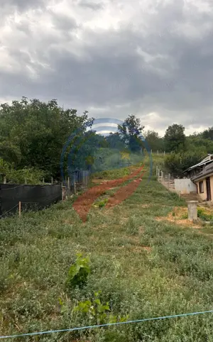 Teren de vanzare in  Breasta - imagine 2