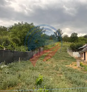 Teren de vanzare in  Breasta - imagine 3