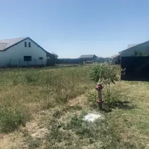 Vand Teren Mosnita Veche 678 mp! - imagine 4