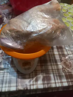 Vindem pui sacrificati din ograda noastra.