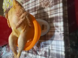 Vindem pui sacrificati din ograda noastra. - imagine 5 Vindem pui sacrificati din ograda noastra. - imagine 5