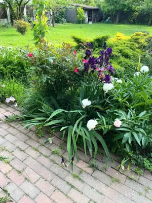 Casa individuala cu pozitie centrala, teren 1140 mp - Sanmihaiu Roman - imagine 17