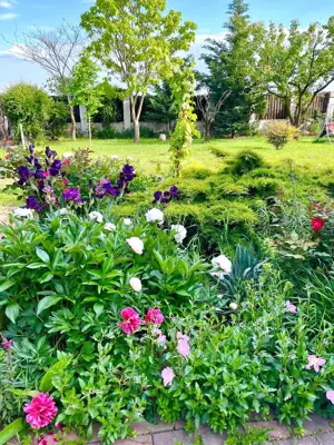 Casa individuala cu pozitie centrala, teren 1140 mp - Sanmihaiu Roman - imagine 18