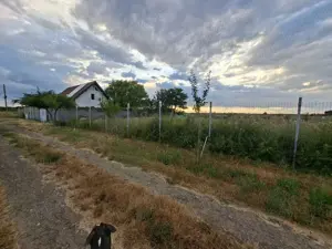 De vanzare teren intravilan 500 mp, Pischia jud.Timis