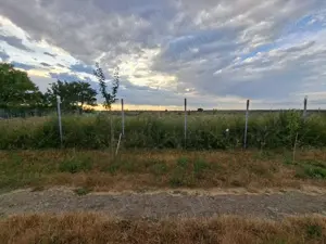 De vanzare teren intravilan 500 mp, Pischia jud.Timis - imagine 2 De vanzare teren intravilan 500 mp, Pischia jud.Timis - imagine 2