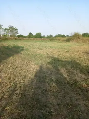 De vânzare casa batraneasca plus 3,700m2 teren în Iazurile jud Tulcea - imagine 4