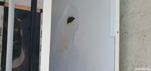 incubator profesional  - imagine 2