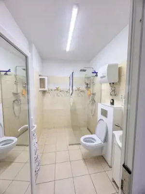 Casa individuala , 3 garaje , terasa ,  352mp utili, zona Dambu Rotund - imagine 12