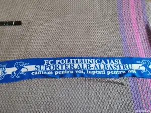 vamd fular poli iasi