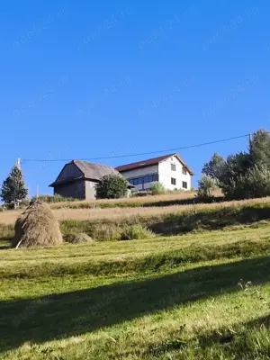 Casă și teren de vânzare în sat Vișagu, com. Săcuieu, jud. Cluj - imagine 3