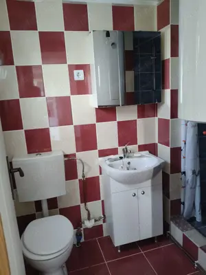 Casă și teren de vânzare în sat Vișagu, com. Săcuieu, jud. Cluj - imagine 9