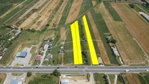 Teren cu potențial de dezvoltare –7427 mp în Argeșelu, Mărăcineni, județul Arges - imagine 2