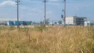 Vand teren intravilan, curti-constructii, drumul Cetului, in spate la Auchan, Bradu - imagine 4