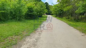 De vânzare 2.770mp teren intravilan Snagov - imagine 5