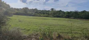 Teren de vânzare în Ciurea - imagine 3