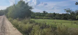 Teren de vânzare în Ciurea - imagine 2